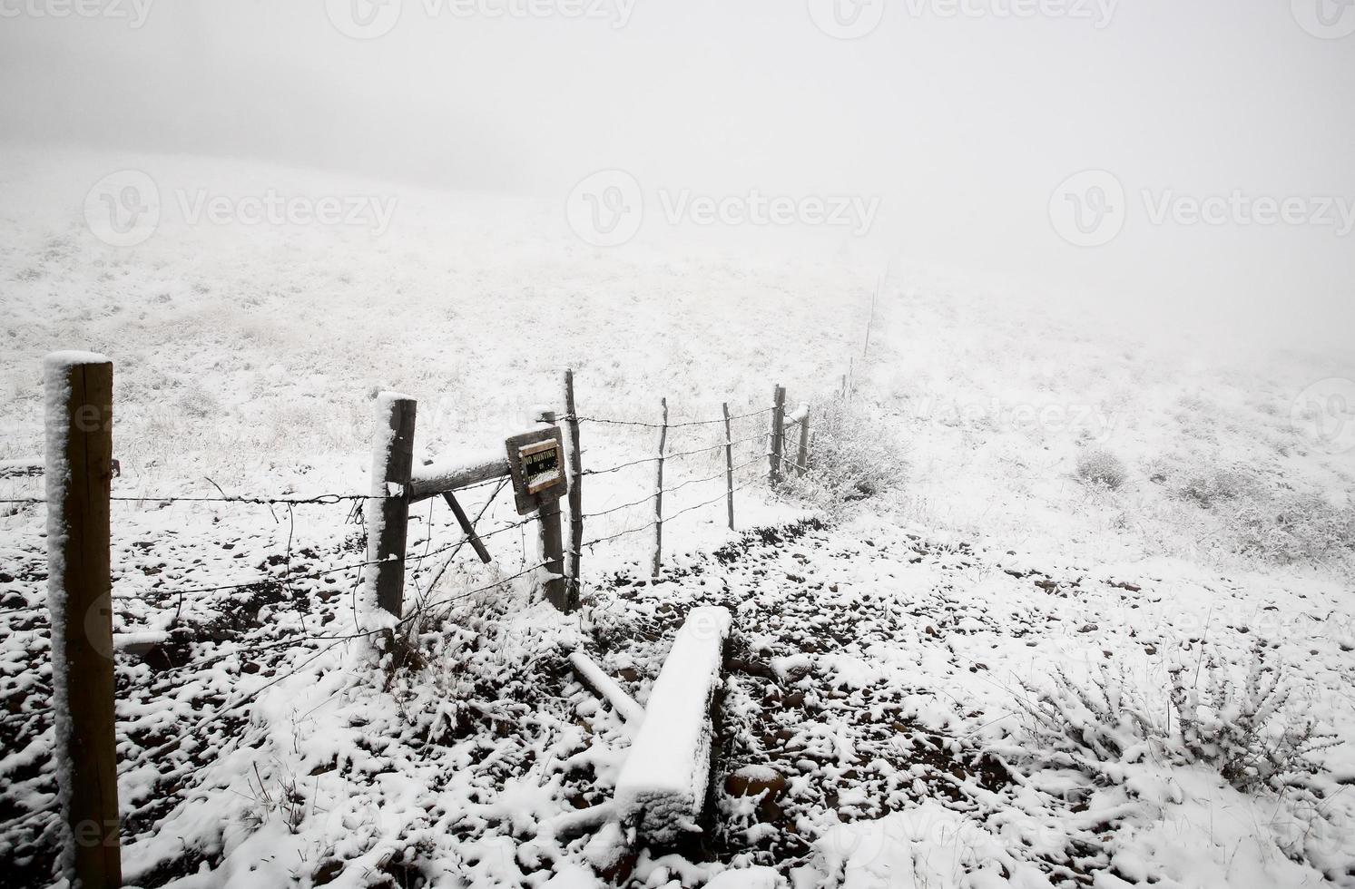 névoa de gelo na zona rural de saskatchewan foto