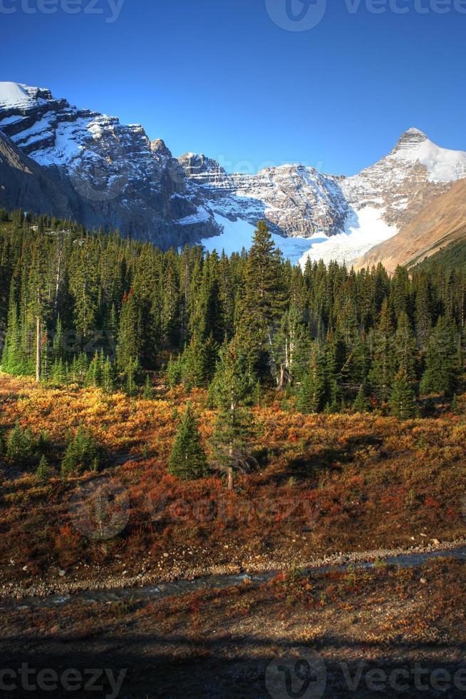 vista das montanhas rochosas ao longo do icefields parkway foto