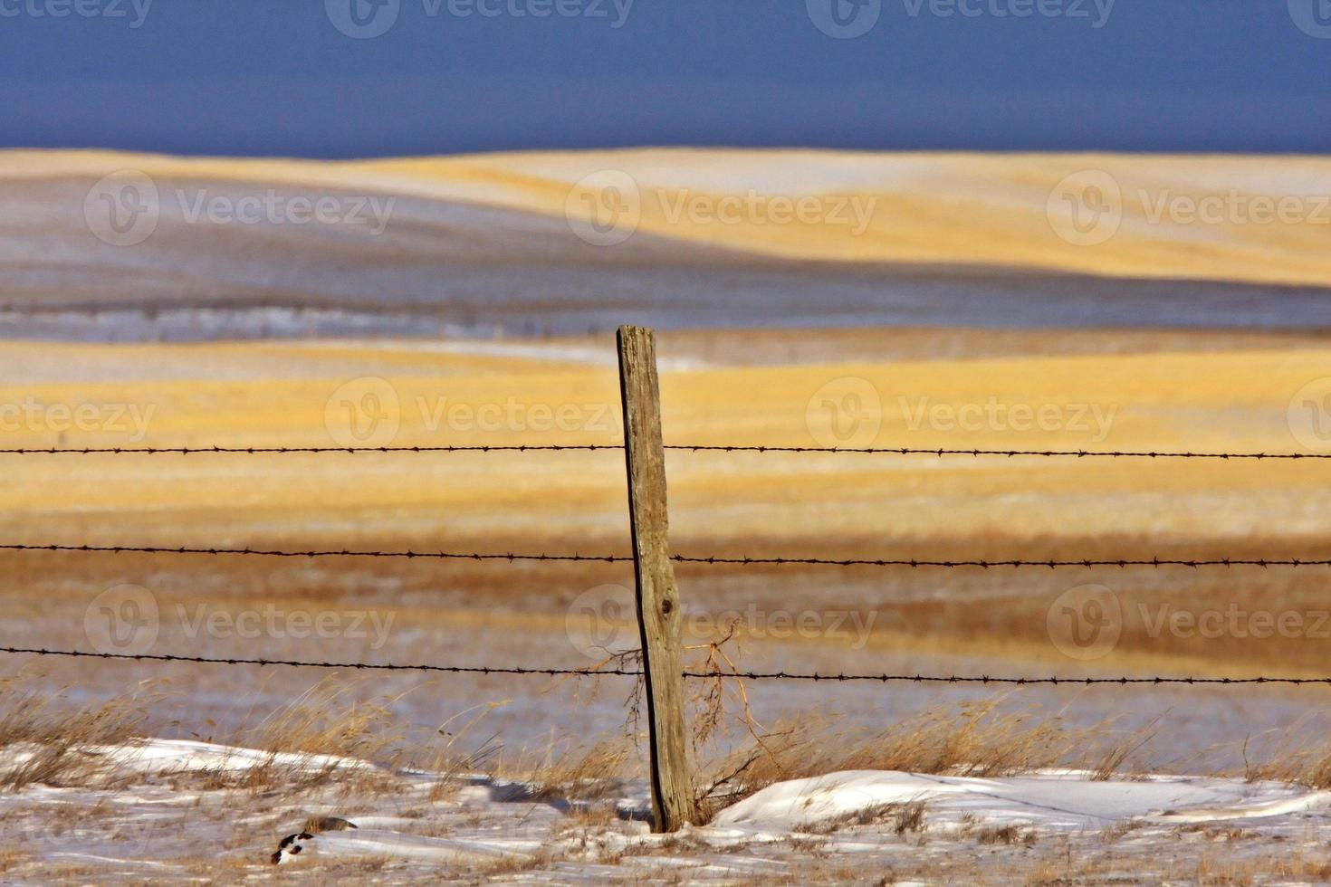 colinas de neve saskatchewan foto