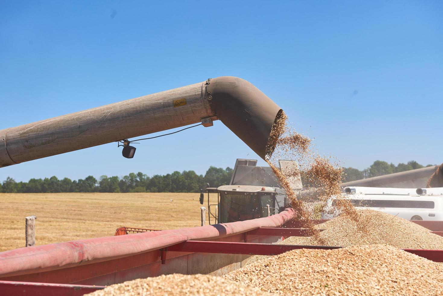 ternopil - 20 de julho. colheitadeira em ação no campo de trigo. colheita é o processo de colher uma colheita madura dos campos em 20 de julho de 2017, em ternopil foto