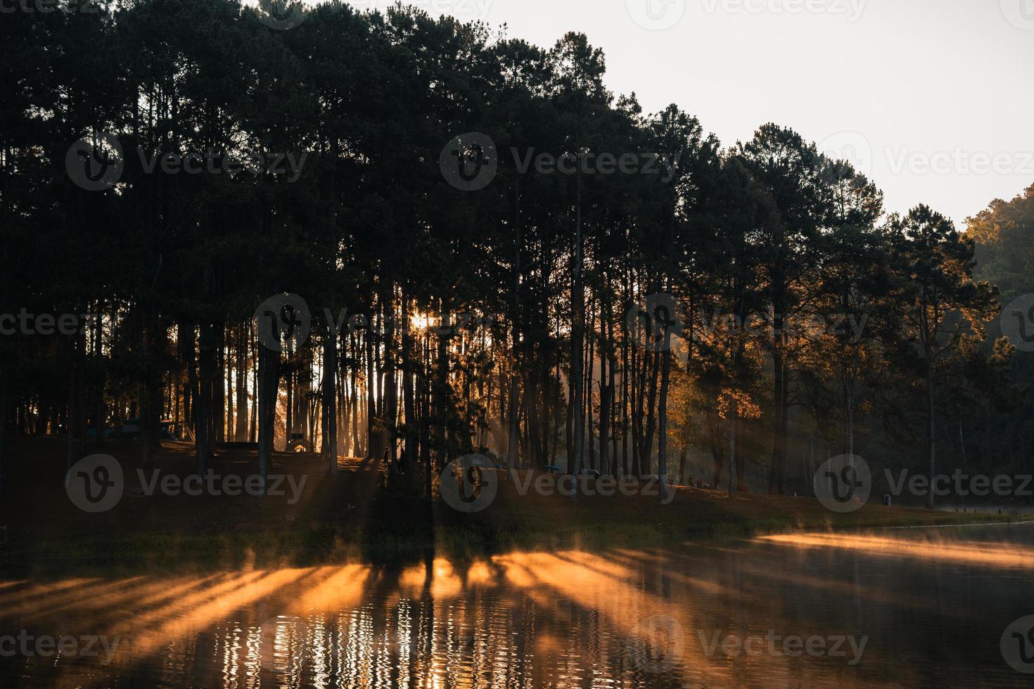 bela natureza lago e floresta pela manhã foto