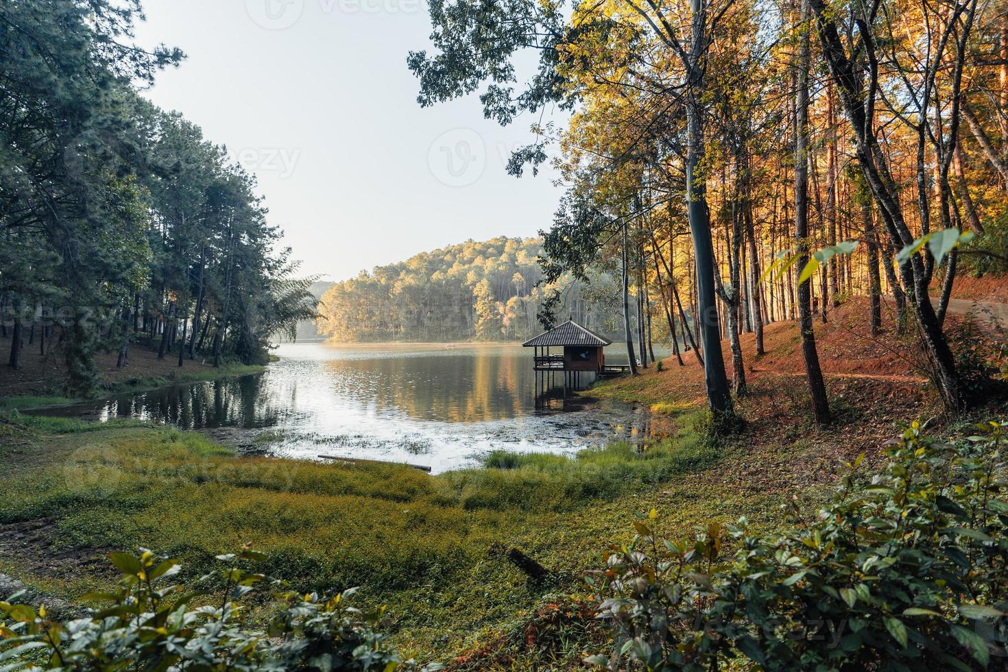 bela natureza lago e floresta pela manhã foto