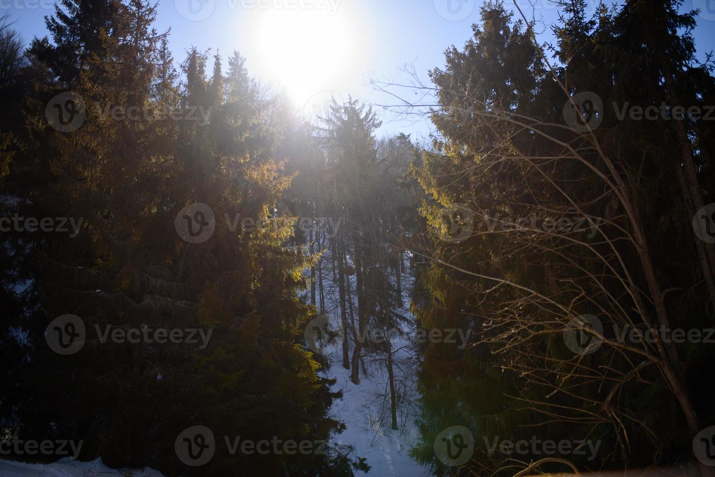 panorama de montanhas de inverno com pistas de esqui e teleféricos em um dia nublado foto