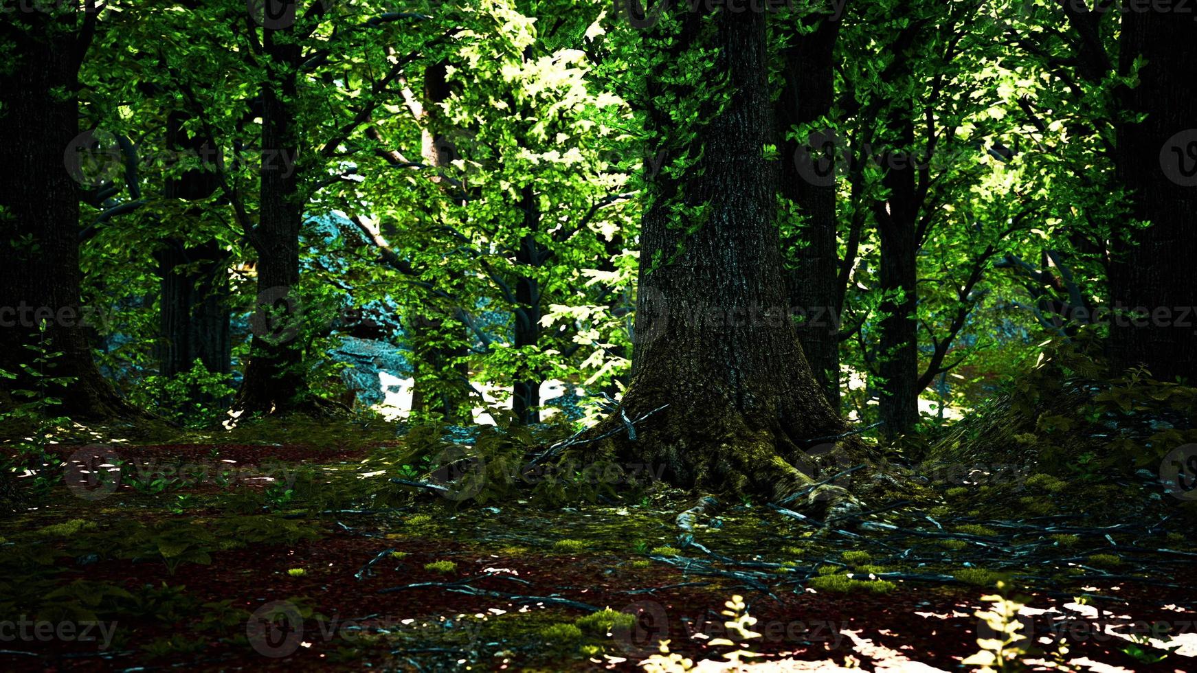 cenário de floresta verde com o sol lançando belos raios através da folhagem foto