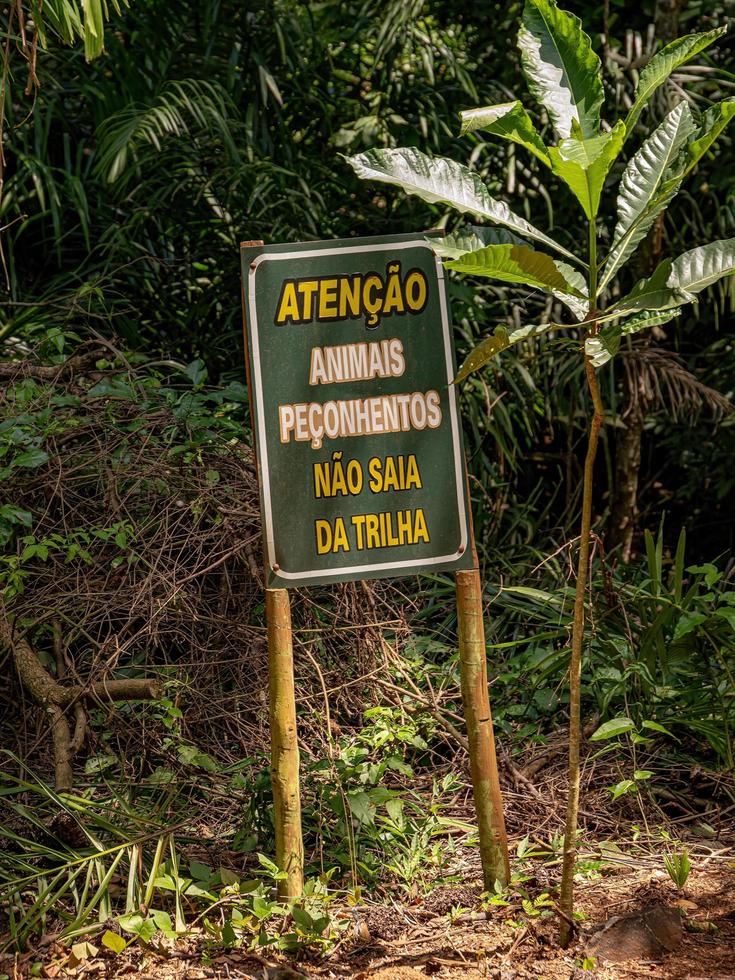 sinal de alerta para animais peçonhentos foto