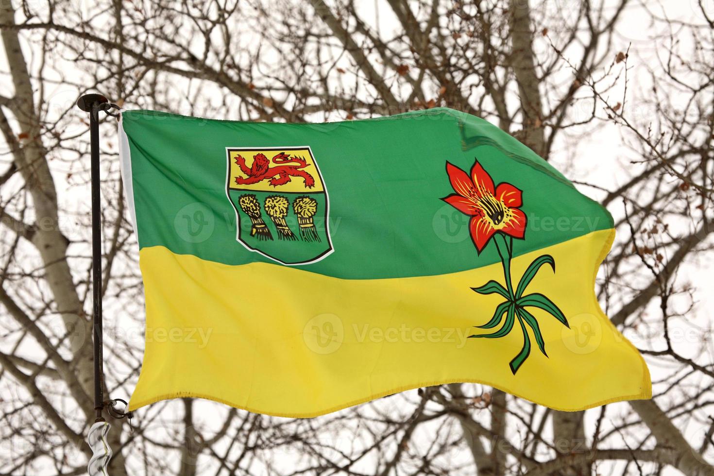 bandeira de saskatchewan soprando aberta foto