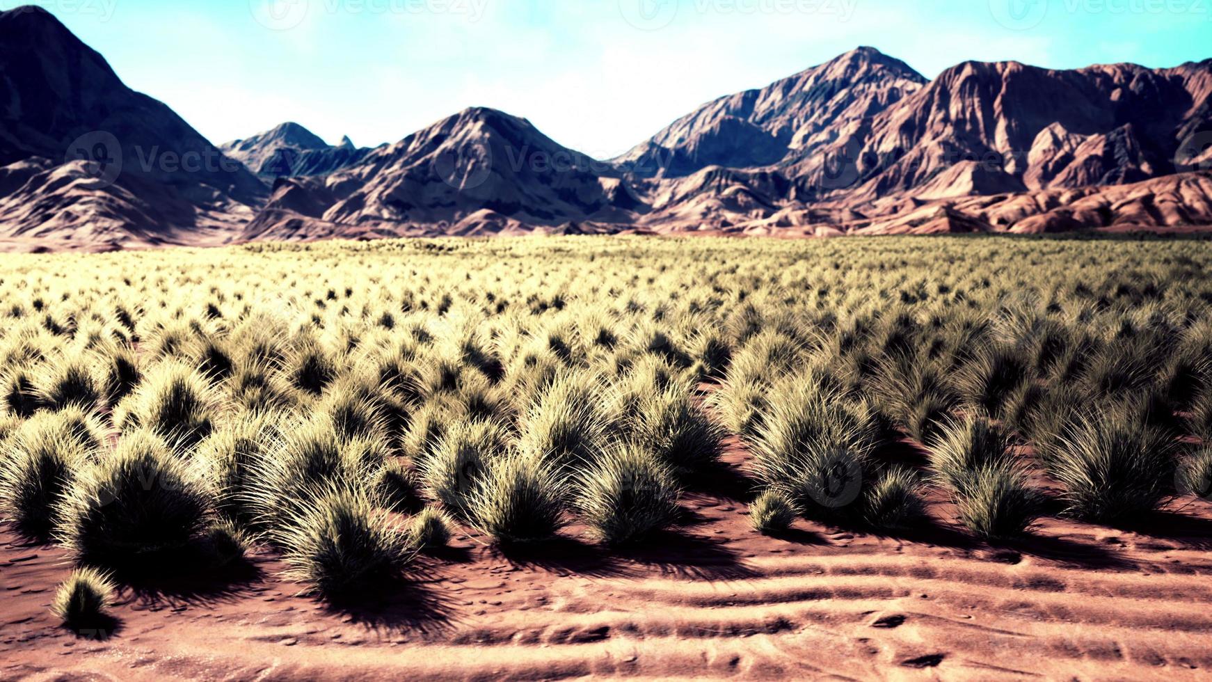 paisagem do deserto no parque nacional da cratera foto