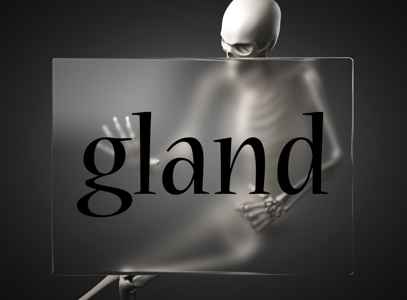 palavra glândula em vidro e esqueleto foto