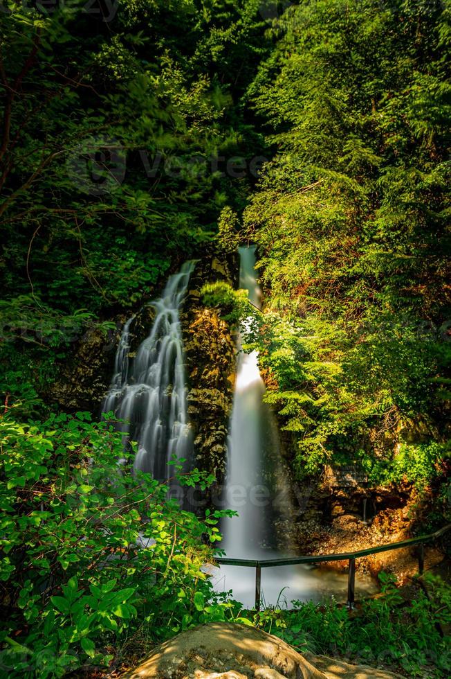 cachoeira natural na floresta foto