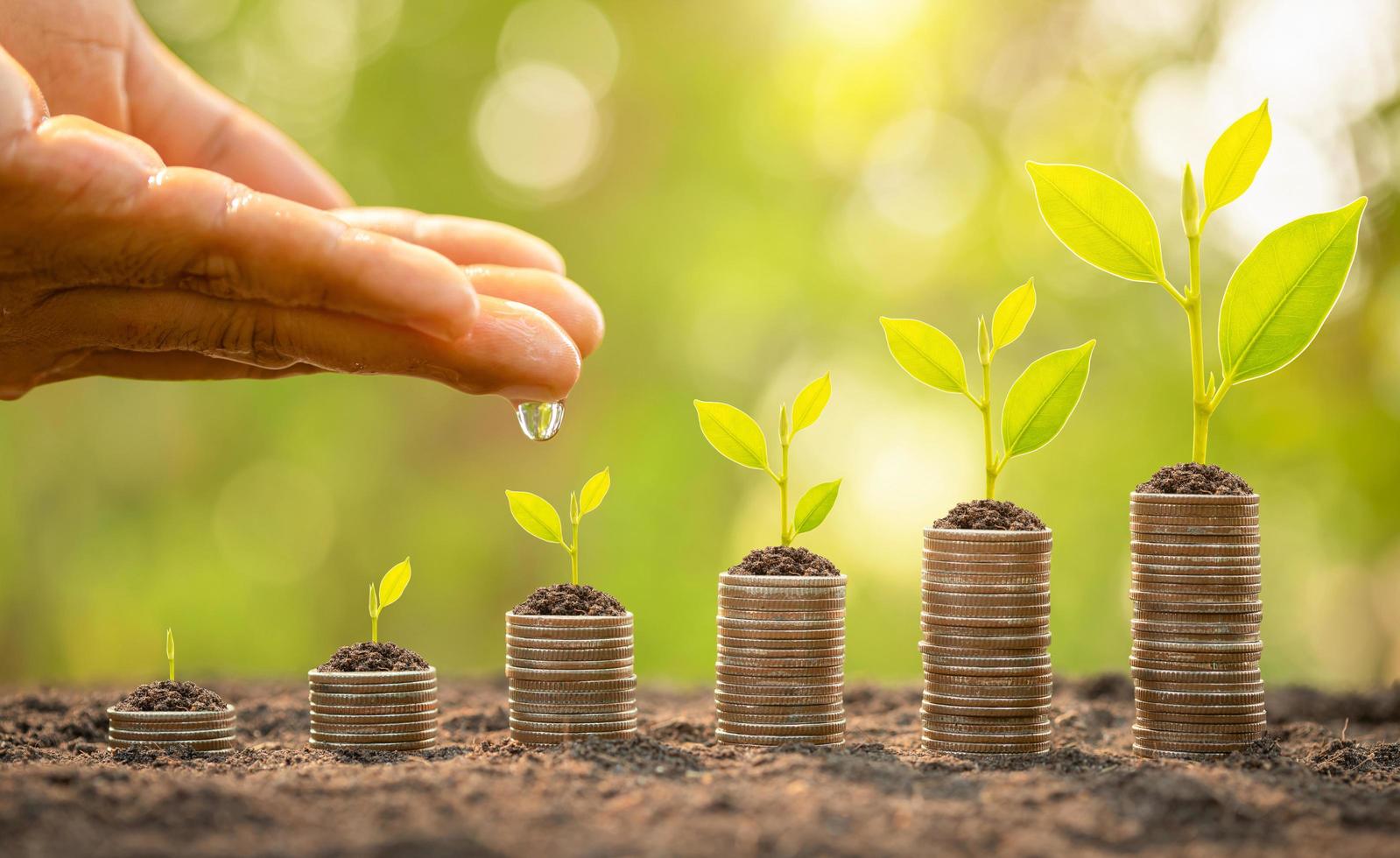 mão molhando a pequena árvore em cima da pilha de moedas. sucesso nos negócios, conceito de crescimento financeiro ou de dinheiro foto