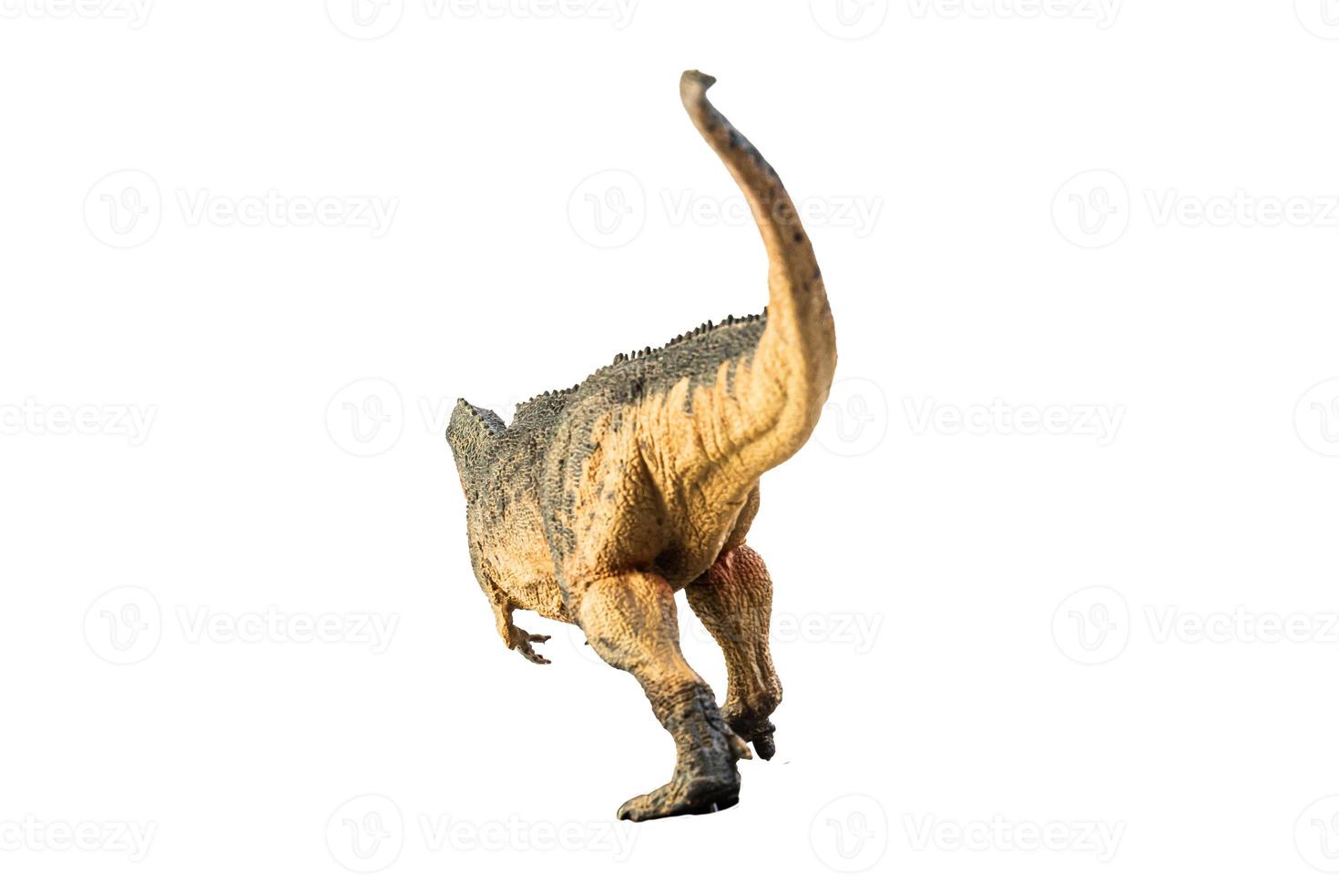 Giganotosaurus, dinossauro em fundo branco. foto