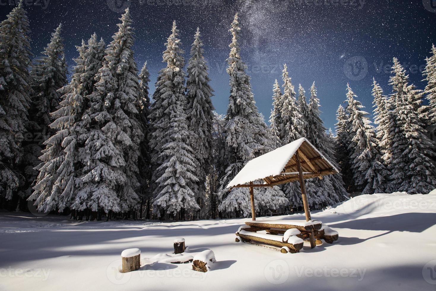 árvore coberta de neve de inverno mágico foto