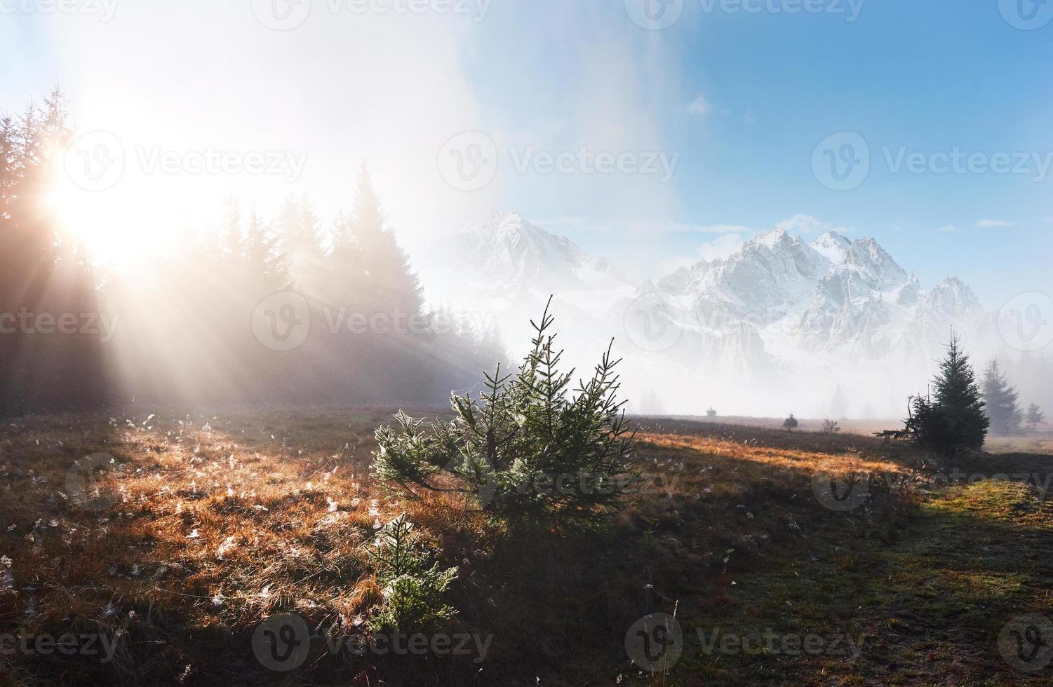 nevoeiro matinal se arrasta com restos sobre a floresta de montanha de outono coberta de folhas de ouro foto