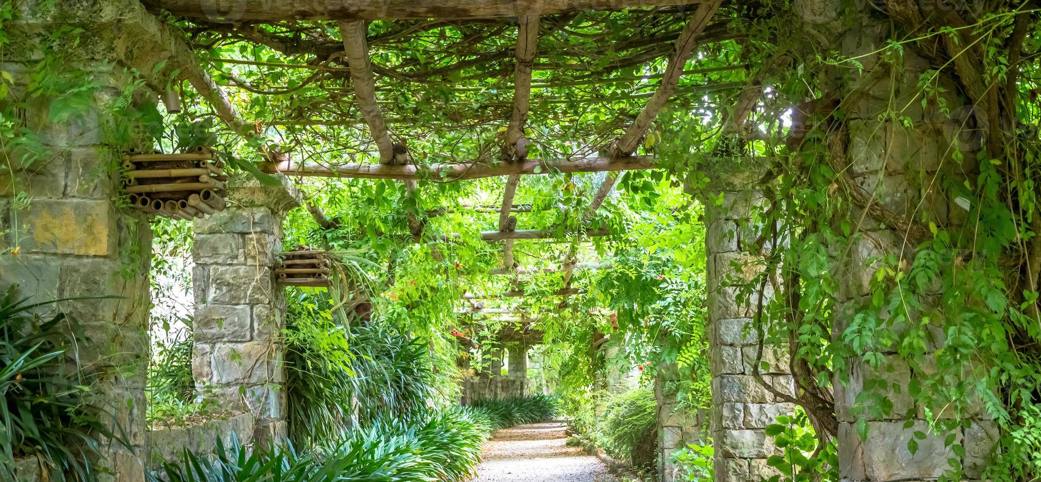 jardim com estrutura de pergolado durante a temporada de verão. arquitetura e design inspirados na natureza. foto