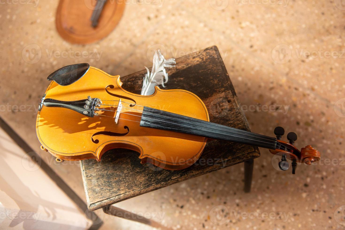 violino com pena foto