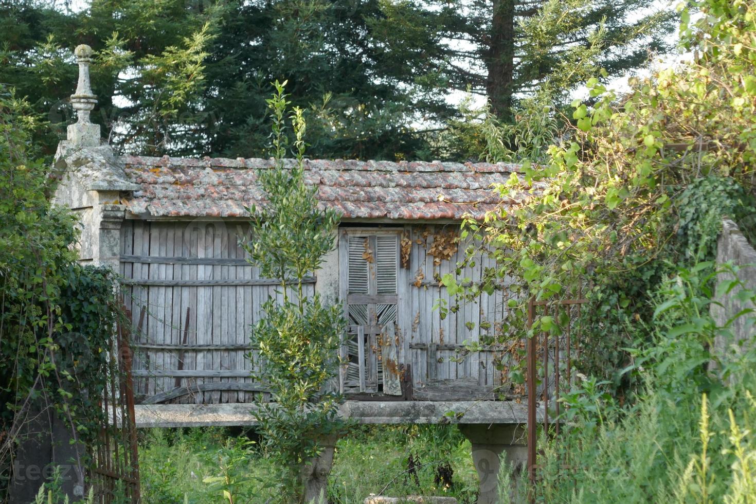 celeiro galego abandonado foto