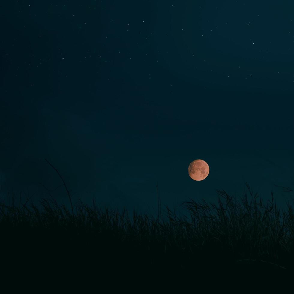 fotografia de foco seletivo da lua durante a noite foto