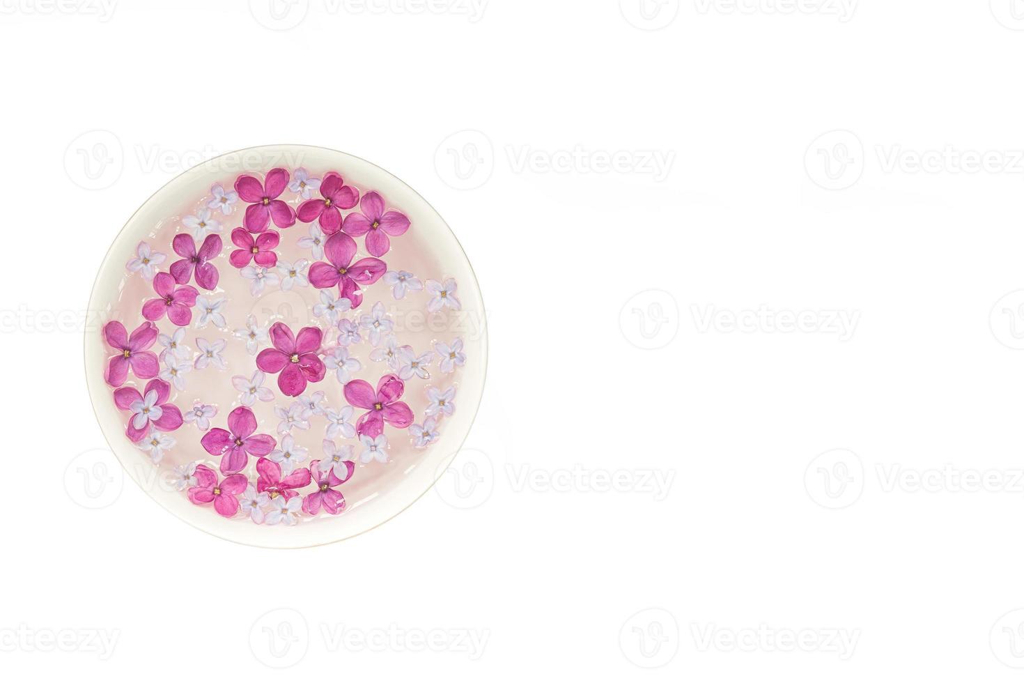 flor lilás de cinco pontas entre flores lilás em um copo com água. simular espaço para texto. ramo lilás com uma flor com 5 pétalas. foto
