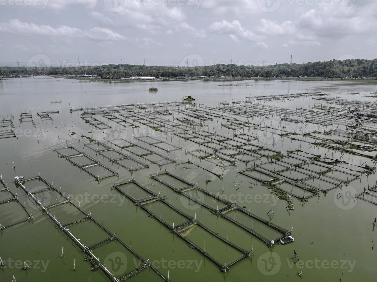 vista aérea do tanque de peixes flutuante tradicional no pântano na indonésia foto