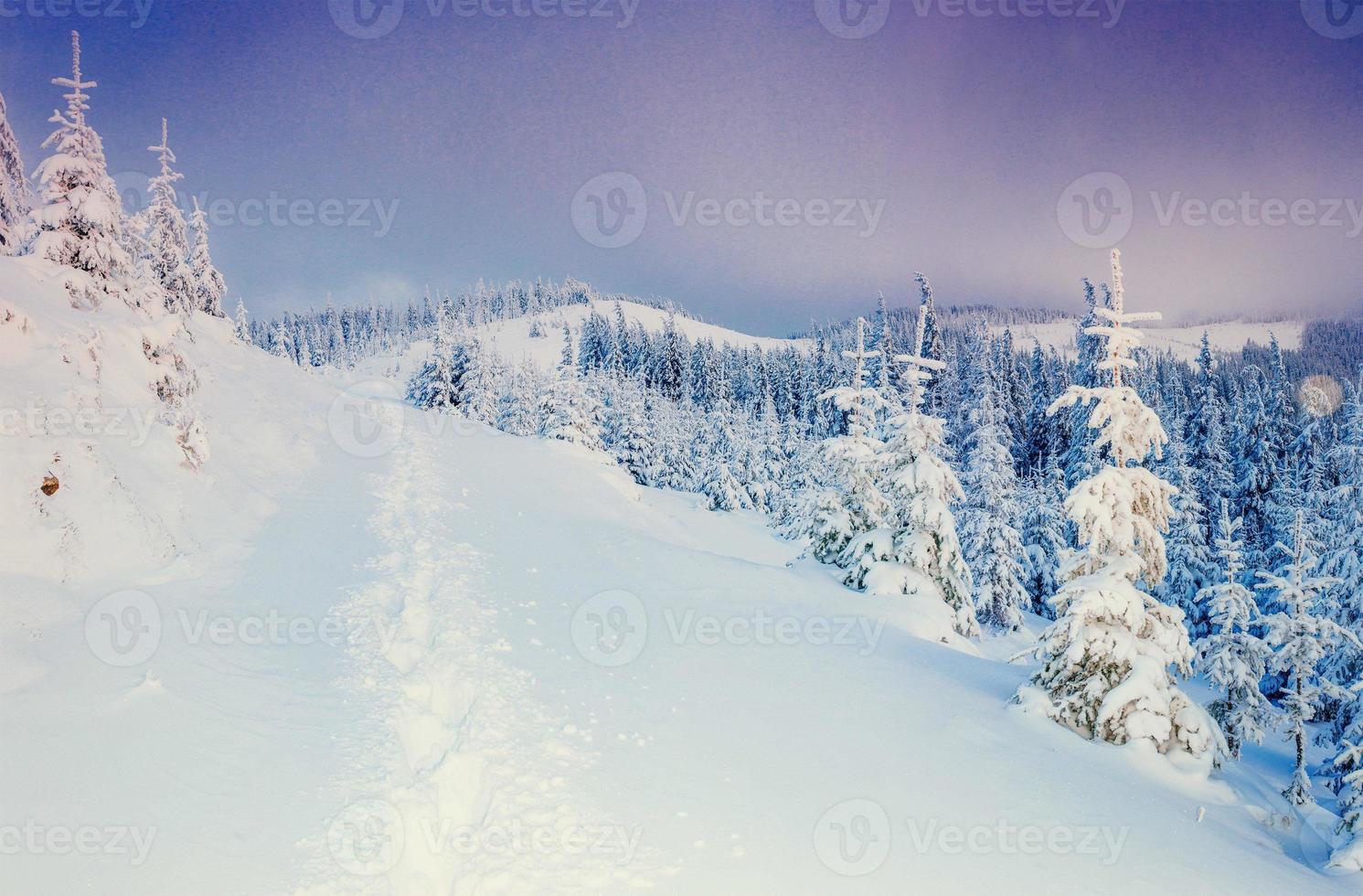 a estrada de inverno. mundo da beleza cárpatos, ucrânia europa foto