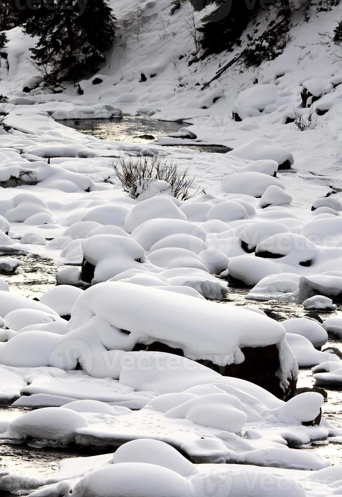 parque de yellowstone wyoming inverno neve refrigerante butte creek foto