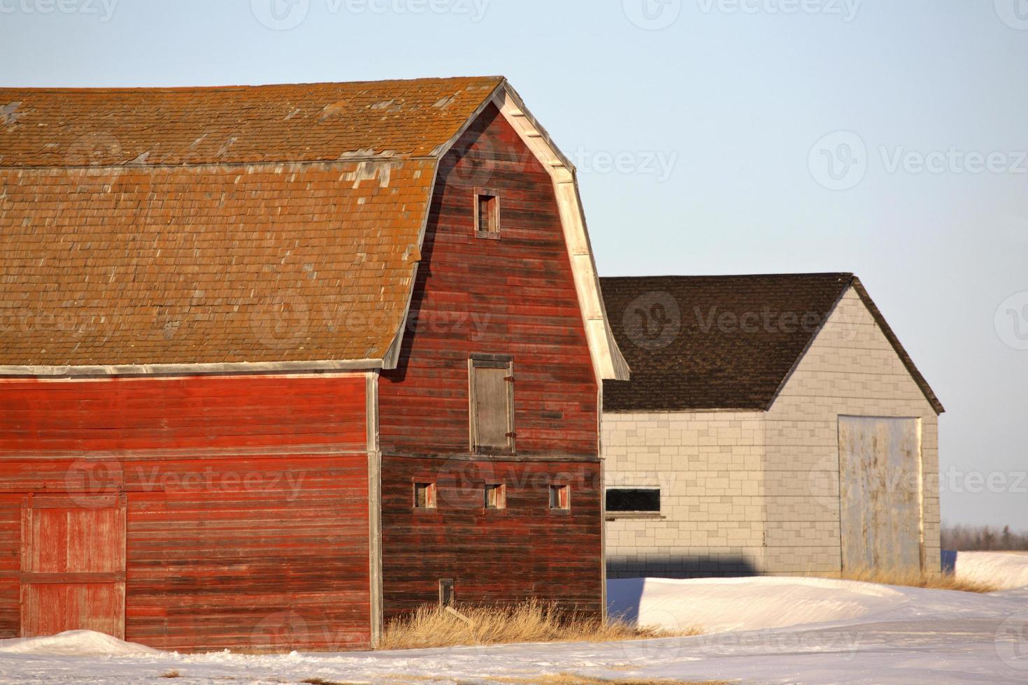 edifícios agrícolas no inverno foto