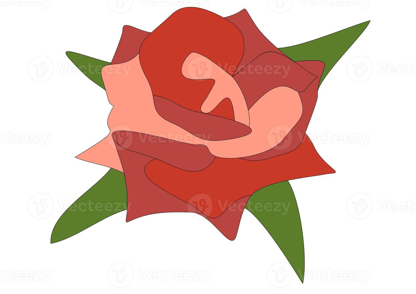 ilustração de rosa vermelha foto