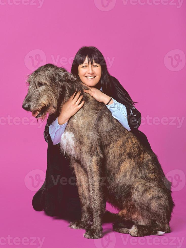 sorrindo alegre feliz morena com wolfhounds irlandeses cinza sobre fundo de cor fúcsia em estúdio fotográfico. amizade, amor, conceito de animais de estimação. foto