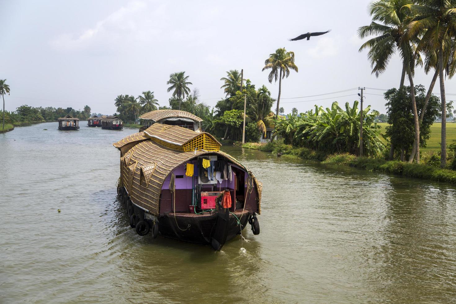 kerala, índia, 2015 - barcos em remansos em kerala. remansos são uma extensa rede de 41 rios, lagos e canais que correm a oeste que se concentram em torno de alleppey, kumarakom e punnamada. foto