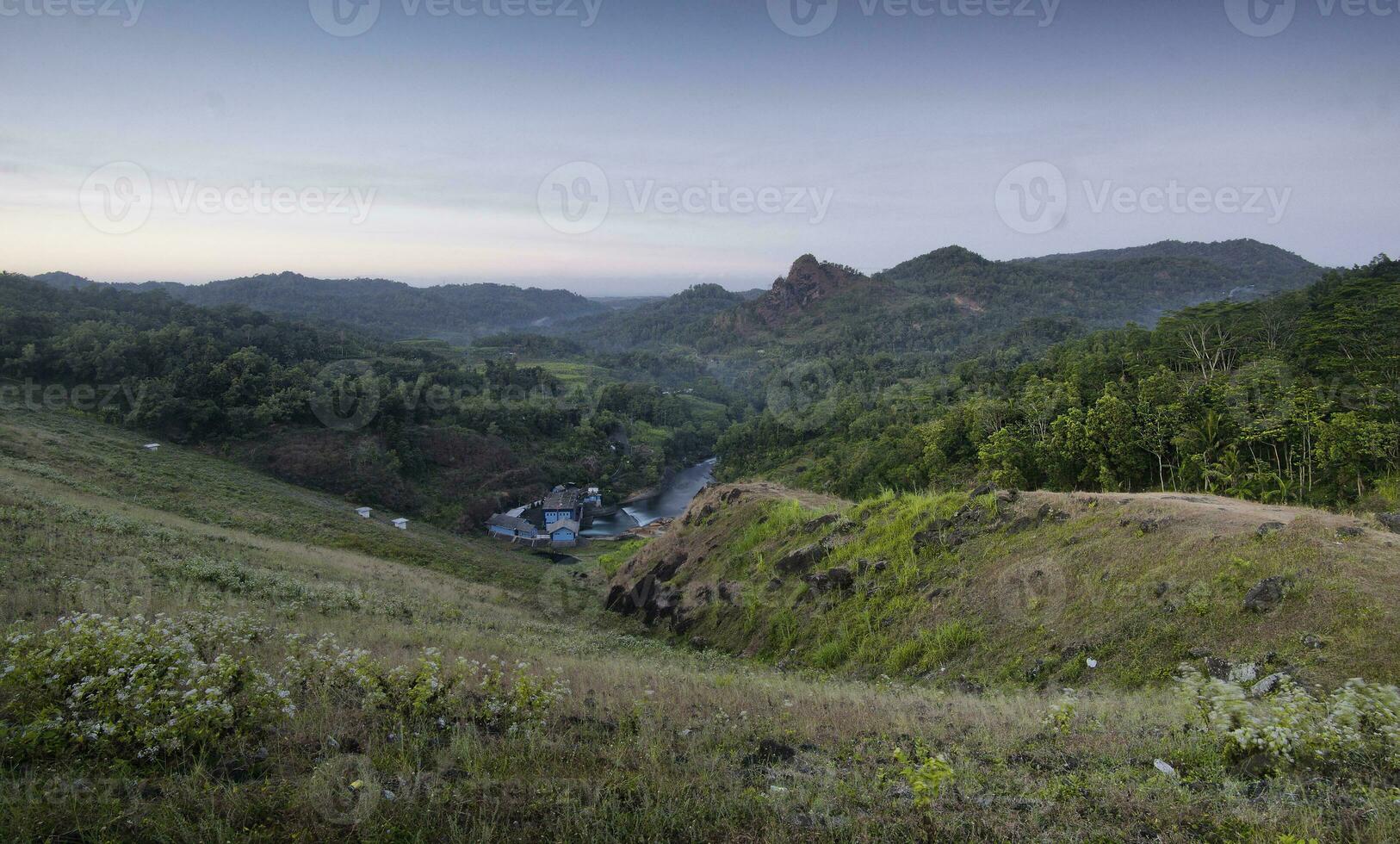 uma casa no meio de uma floresta verde foto