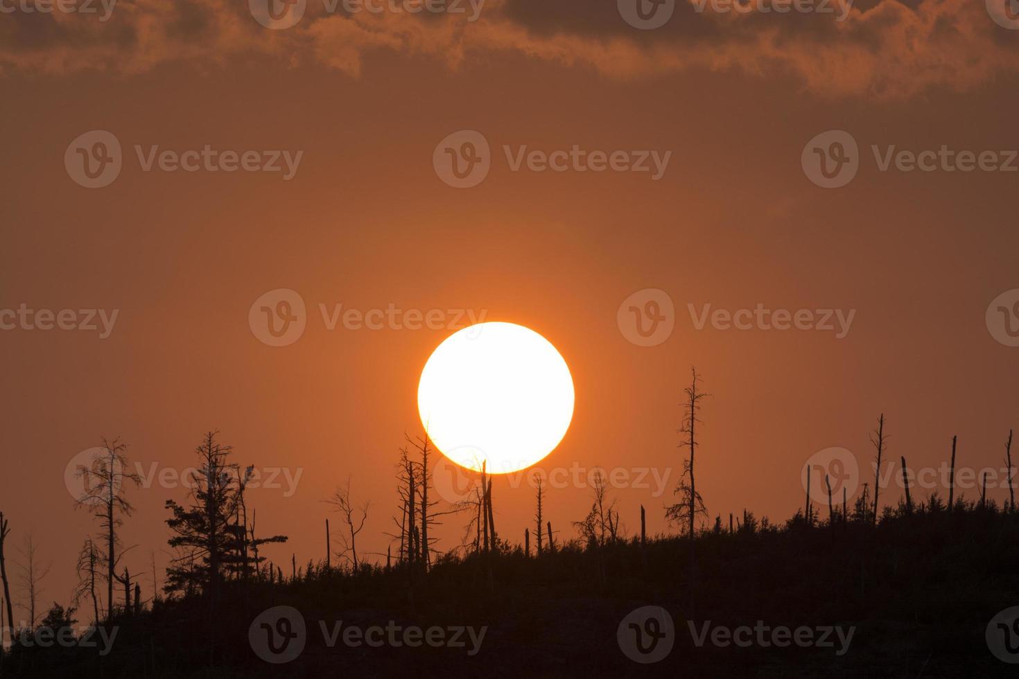 pôr do sol sobre um cume de madeiras ao norte foto