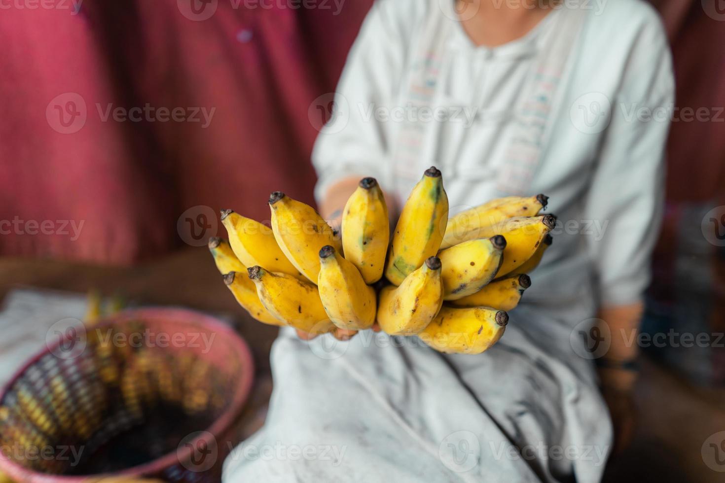 banana cultivada para processamento, banana na mão do vendedor foto