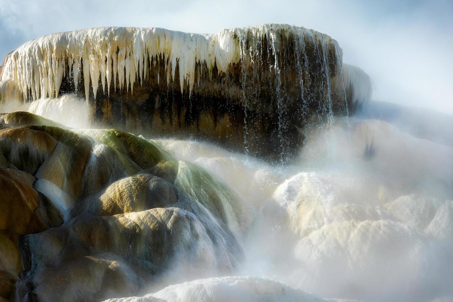 paleta primavera no parque nacional de yellowstone foto