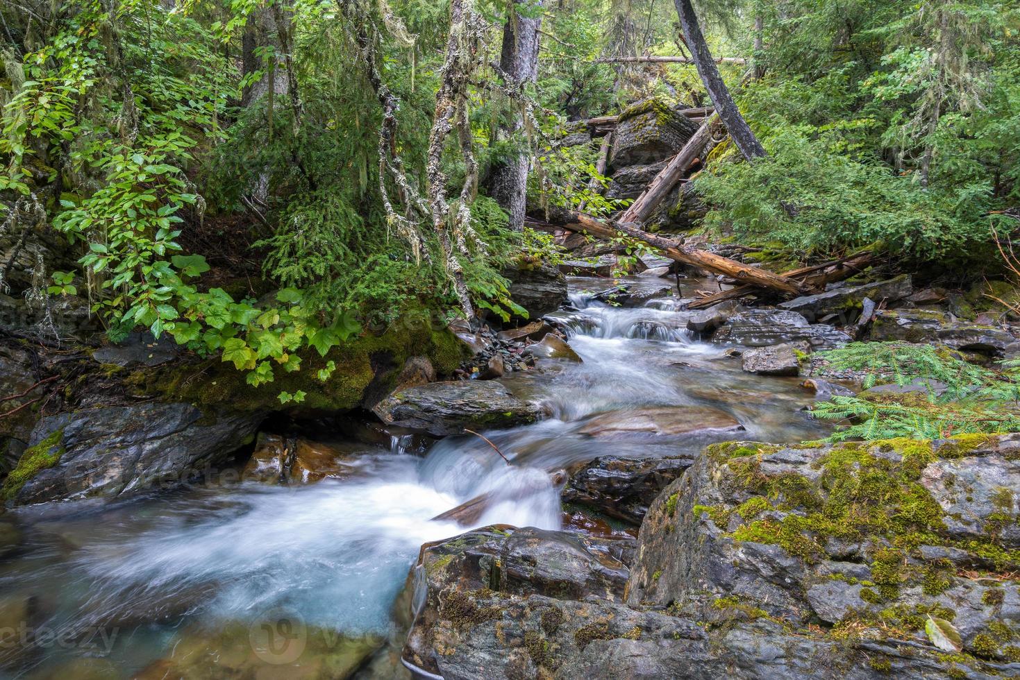 Holanda Creek em Montana foto