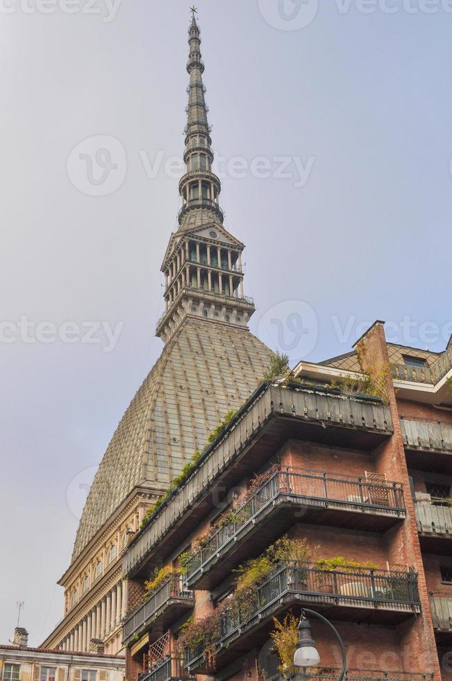 toupeira antonelliana turin foto