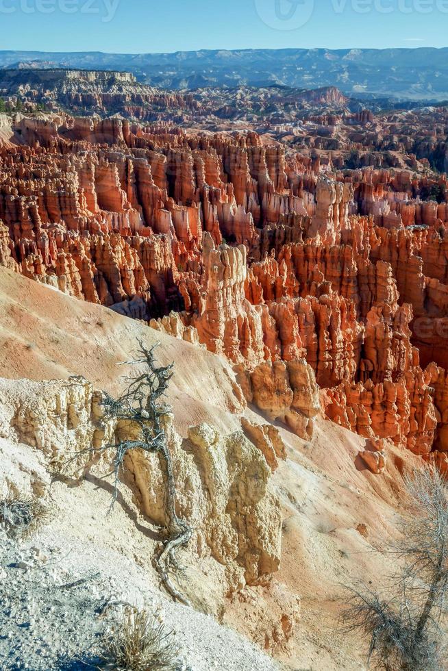 manhã cedo no cânion de bryce foto