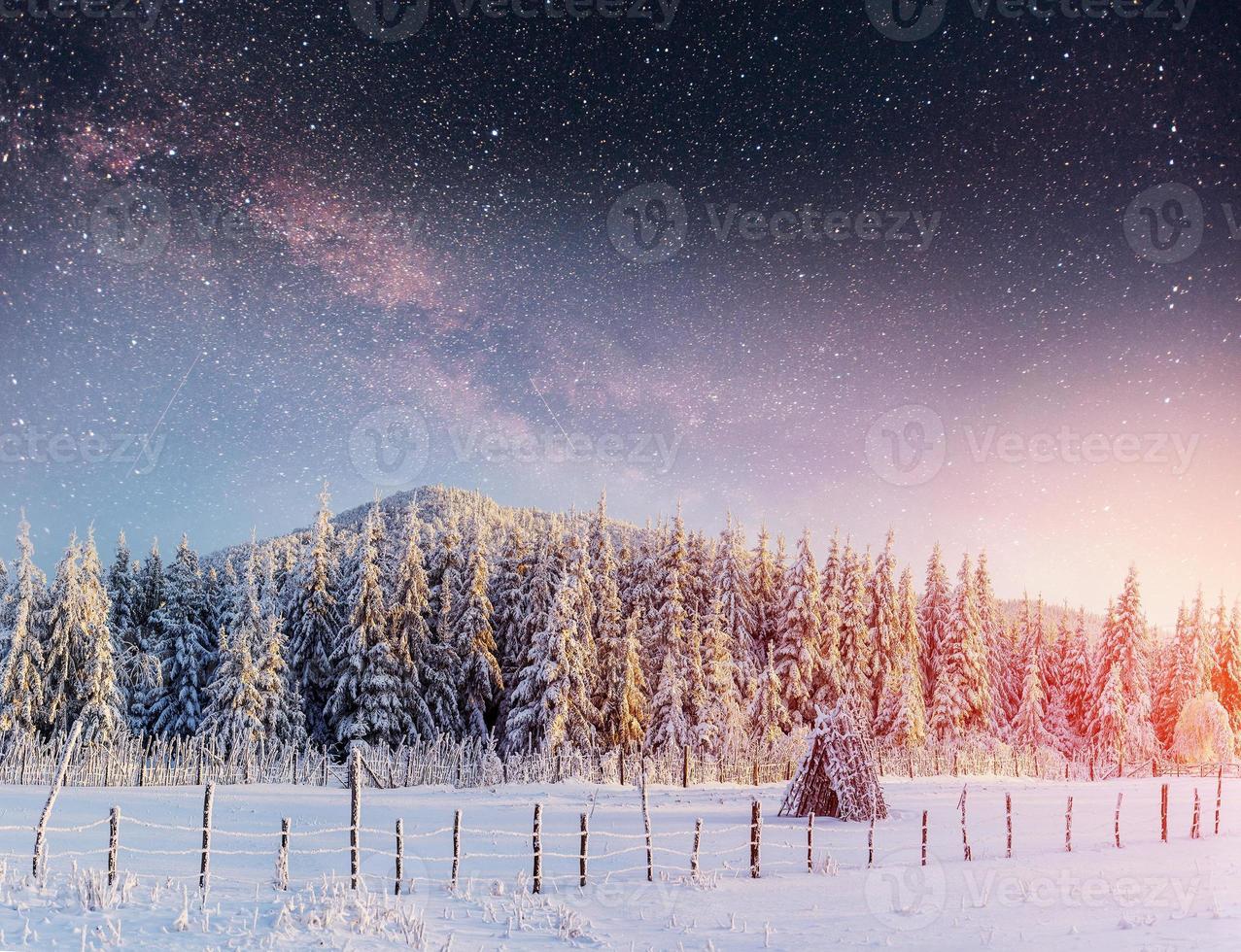 laticínios star trek na floresta de inverno. foto