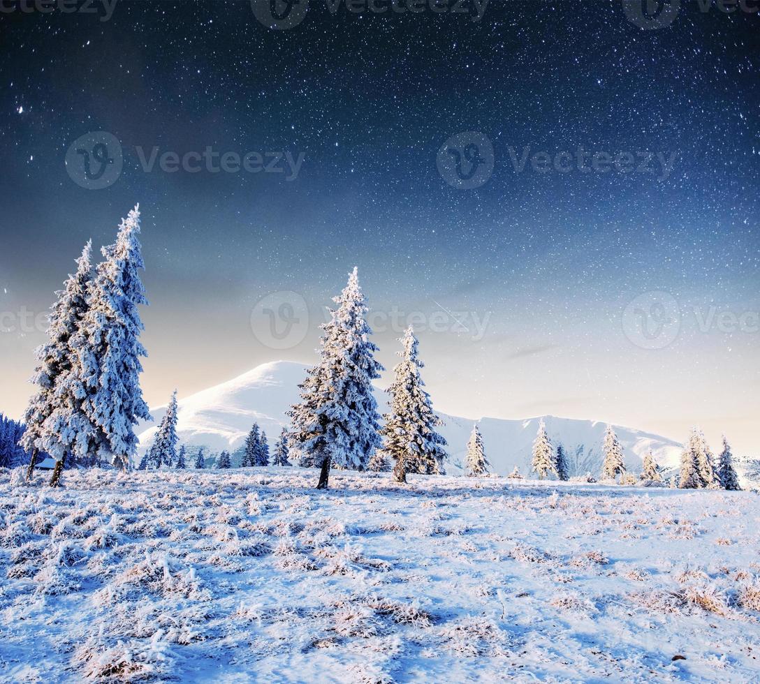 céu estrelado na noite de inverno nevado. via láctea fantástica foto