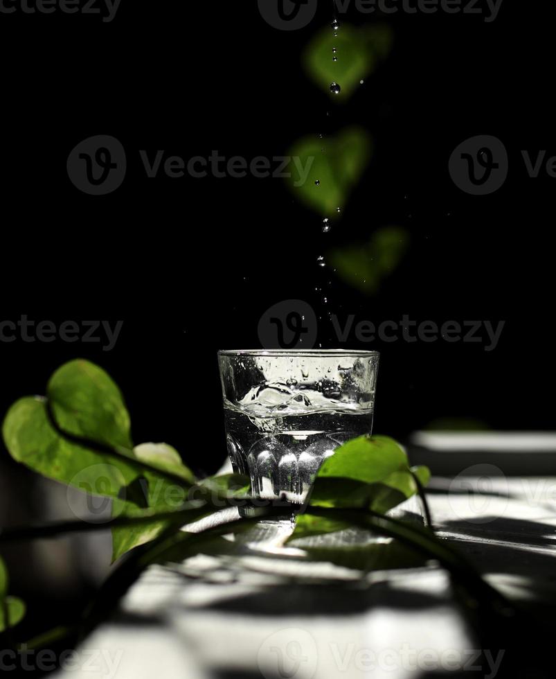 um copo de água em uma mesa branca com raios de sol e com folhas verdes foto