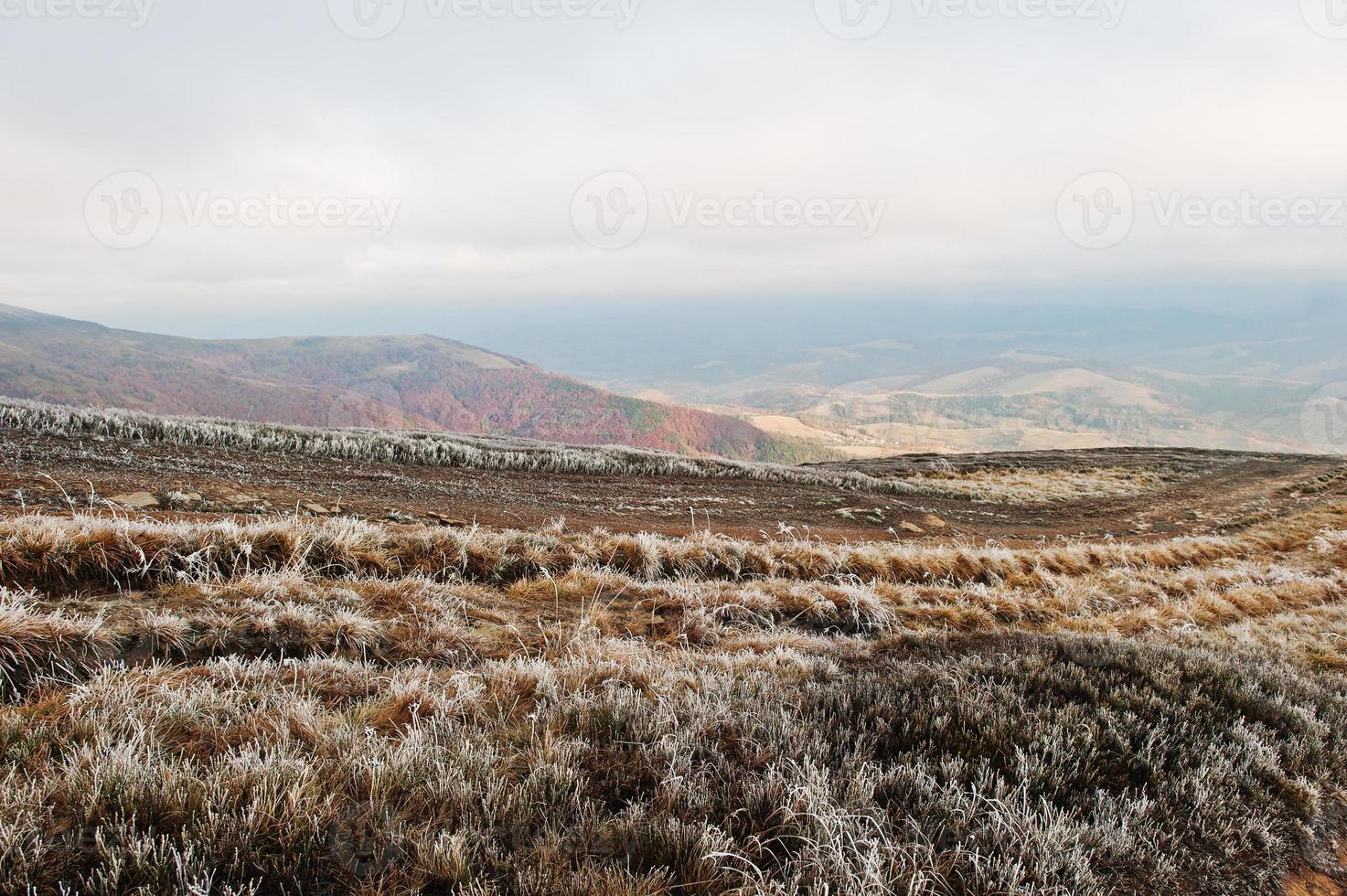 grama de pinheiro de geada na colina de montanha com raio de sol da nuvem foto
