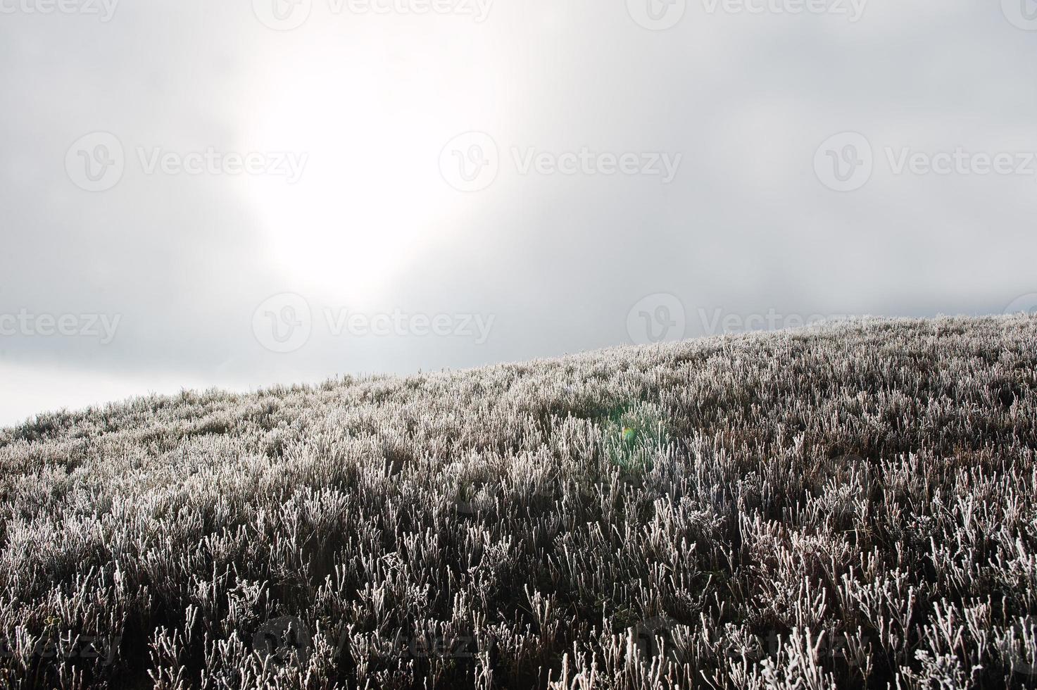 colina de montanha com grama de geada e luz solar das nuvens foto