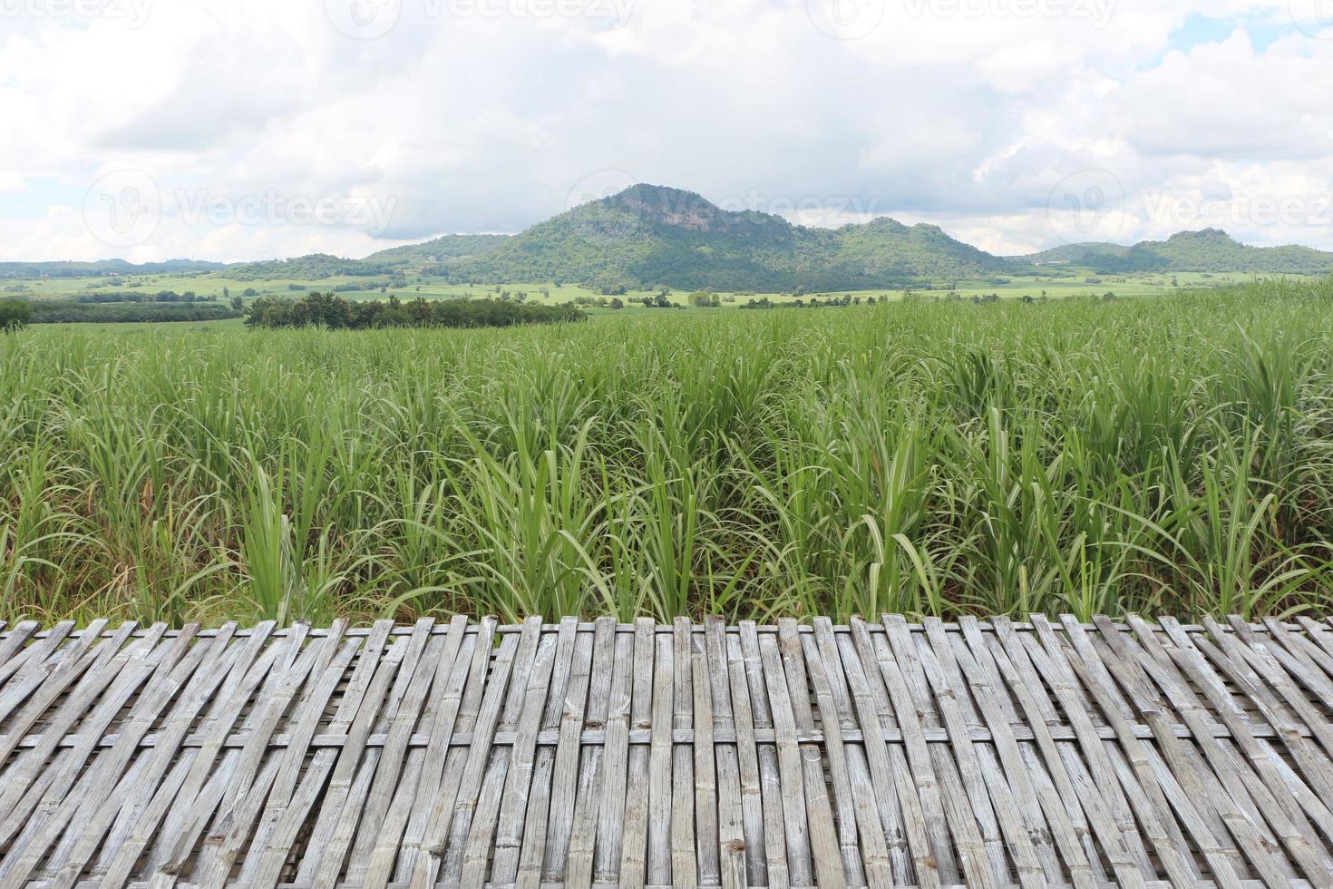 mesa de bambu vazia na frente de campos de cana-de-açúcar com montanhas e céu azul como pano de fundo. ele pode ser usado para exibição ou montagem de produtos. terraço de madeira do restaurante no natural. foto