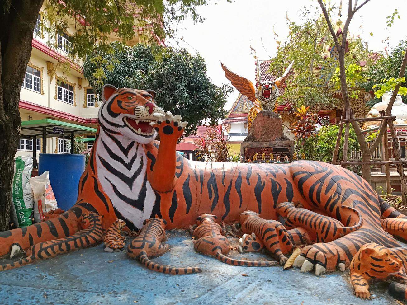 tigre, templo bang phra foto