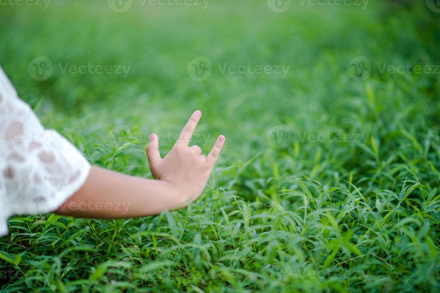 as mãos e a natureza amam o amor brilhante têm que dar um ao outro amor e beleza de maneira natural. foto