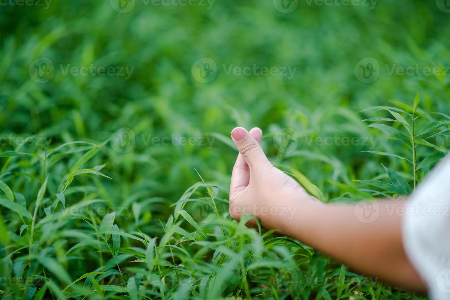 as mãos e a natureza amam o amor brilhante têm que dar um ao outro amor e beleza de maneira natural. foto