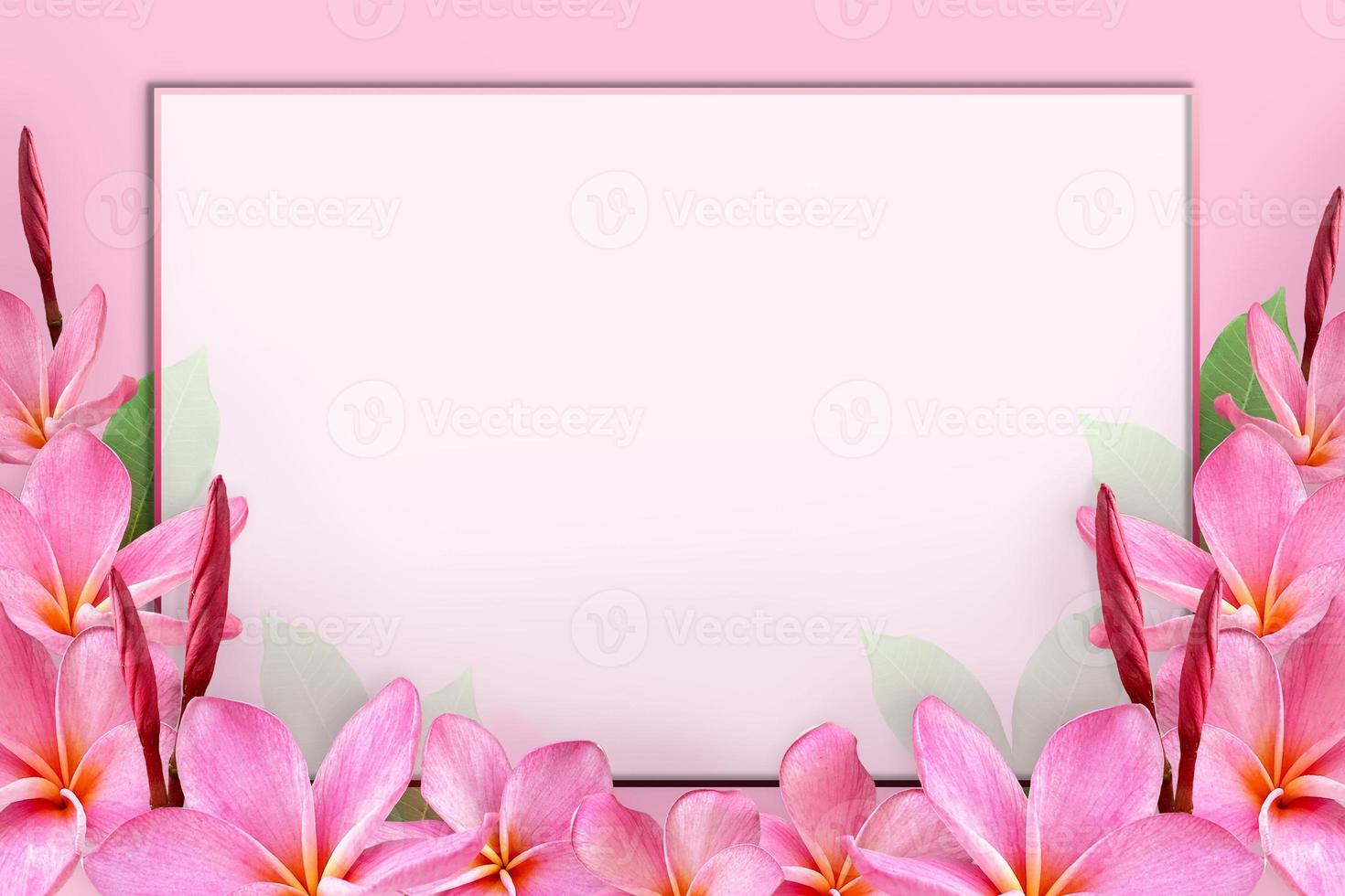 papel branco vazio em branco no quadro de flor de plumeria rosa. foto