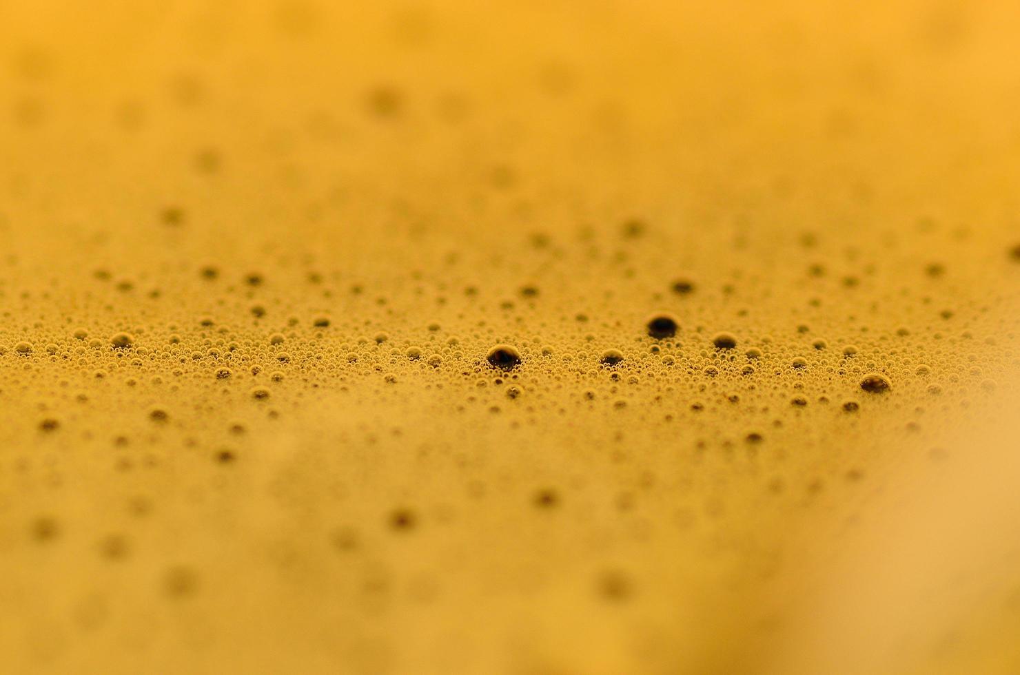 espuma de café com bolhas foto