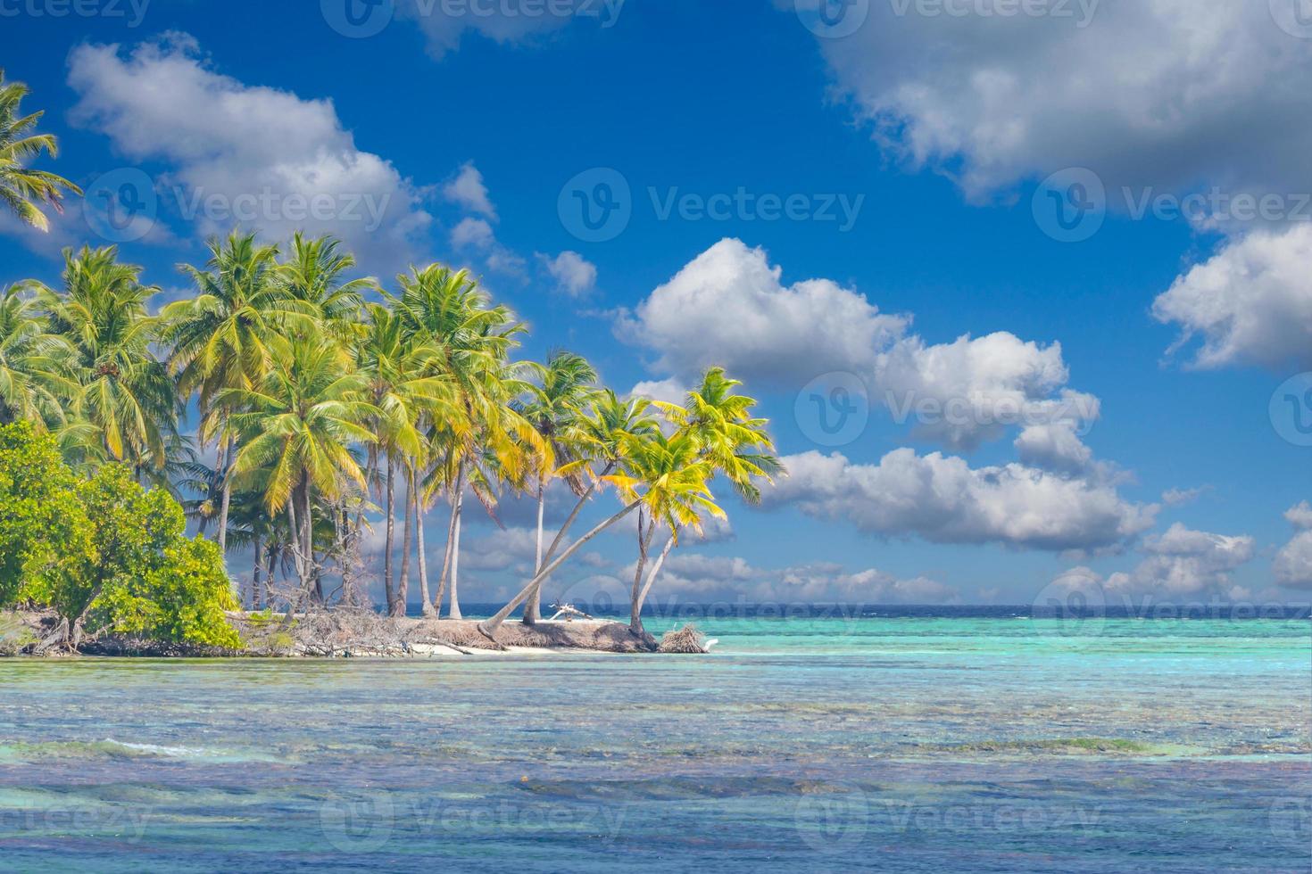 linda bandeira de praia tropical. areia branca e coqueiros, conceito de fundo panorâmico de turismo de viagens. paisagem de praia incrível. natureza da ilha de luxo, férias de aventura ou férias, foto