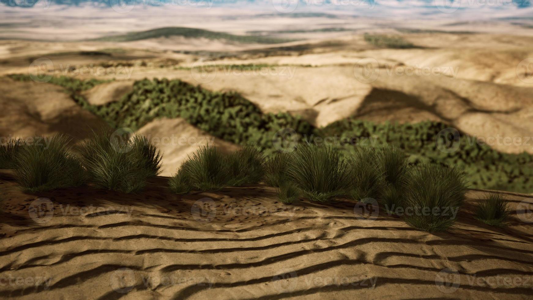 deserto plano com arbusto e grama foto