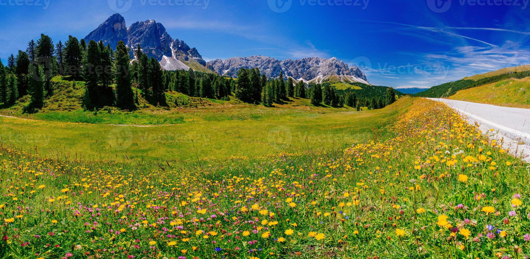 prado de flores nos alpes foto